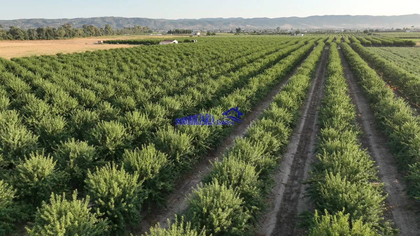 Vista exterior de Finca rústica en venda en Periurbano Oeste - Sierra