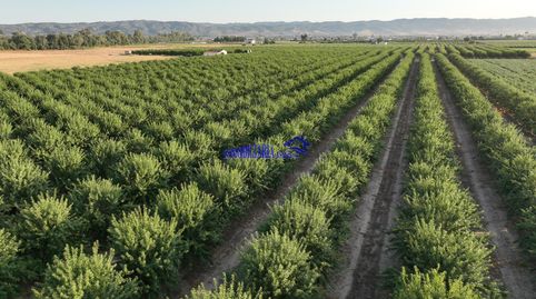 Foto 3 de Finca rústica en venda a Encinarejo de Córdoba, Córdoba Capital