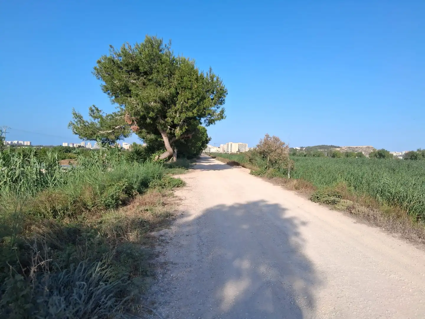 Rustikales Grundstück zum Verkauf in Avinguda del Mediterrani 39, imagen 2