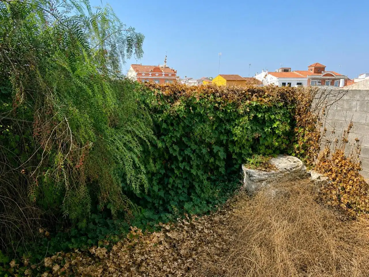 House with pool for sale in La Garrovilla, imagen 26