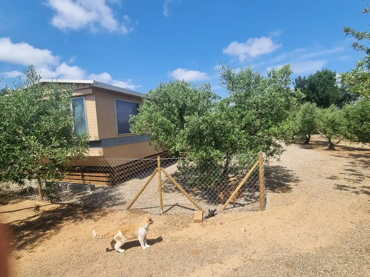Finca rústica en venda en Reus amb Aire condicionat, Calefacció i Jardí privat