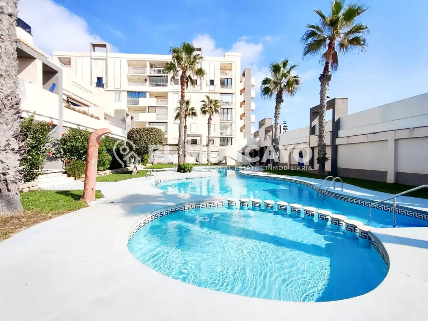 Bajo con piscina en venta en La Mata, imagen 14