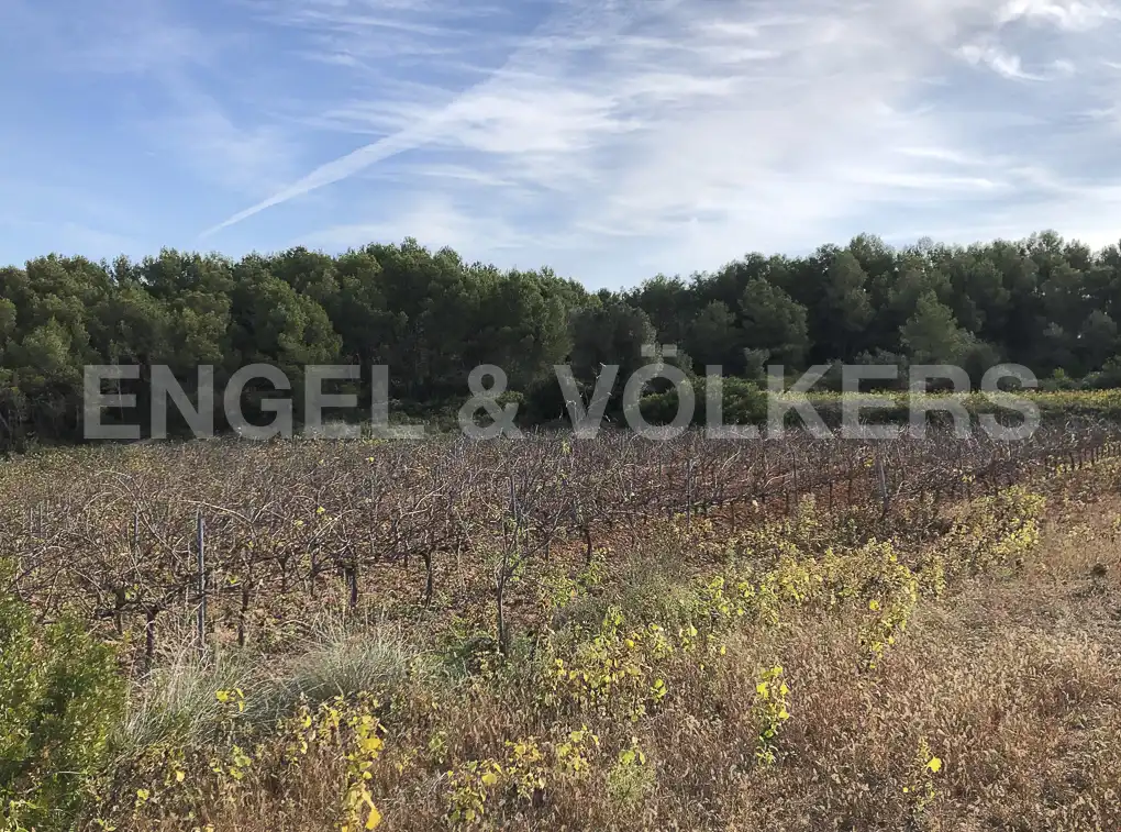 Terreny residencial en venda a Avinyonet del Penedès, imagen 17