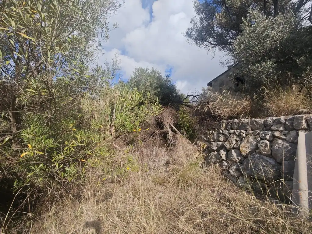 Casa rústica en venta en Selva, imagen 8
