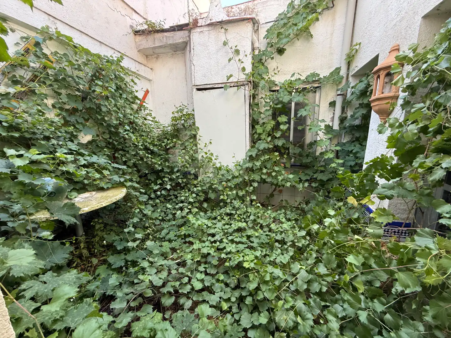 Jardín de Casa o chalet en venta en Palencia con Calefacción, Terraza y Amueblado