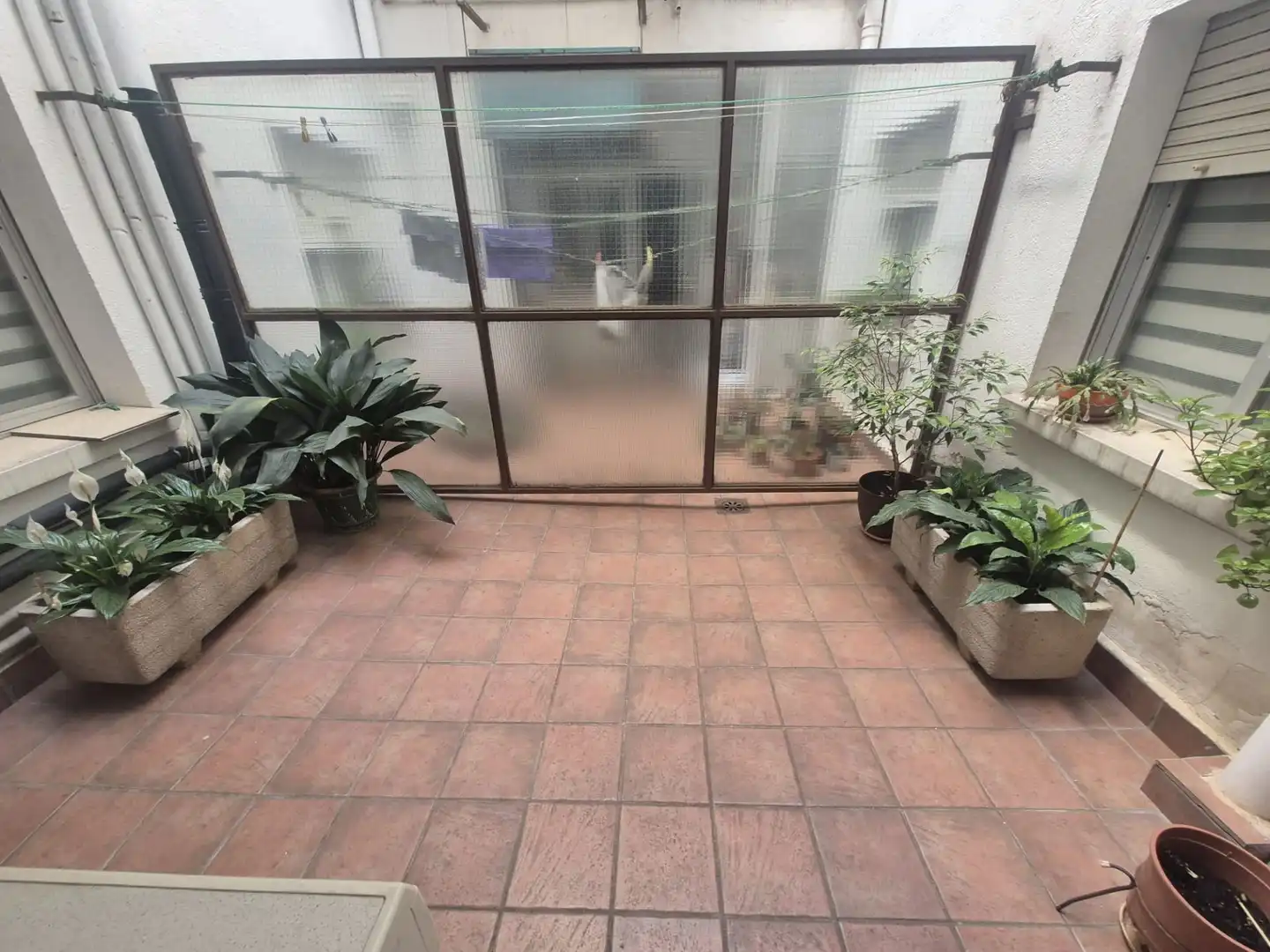 Piso en venta en Ciruela, imagen 14