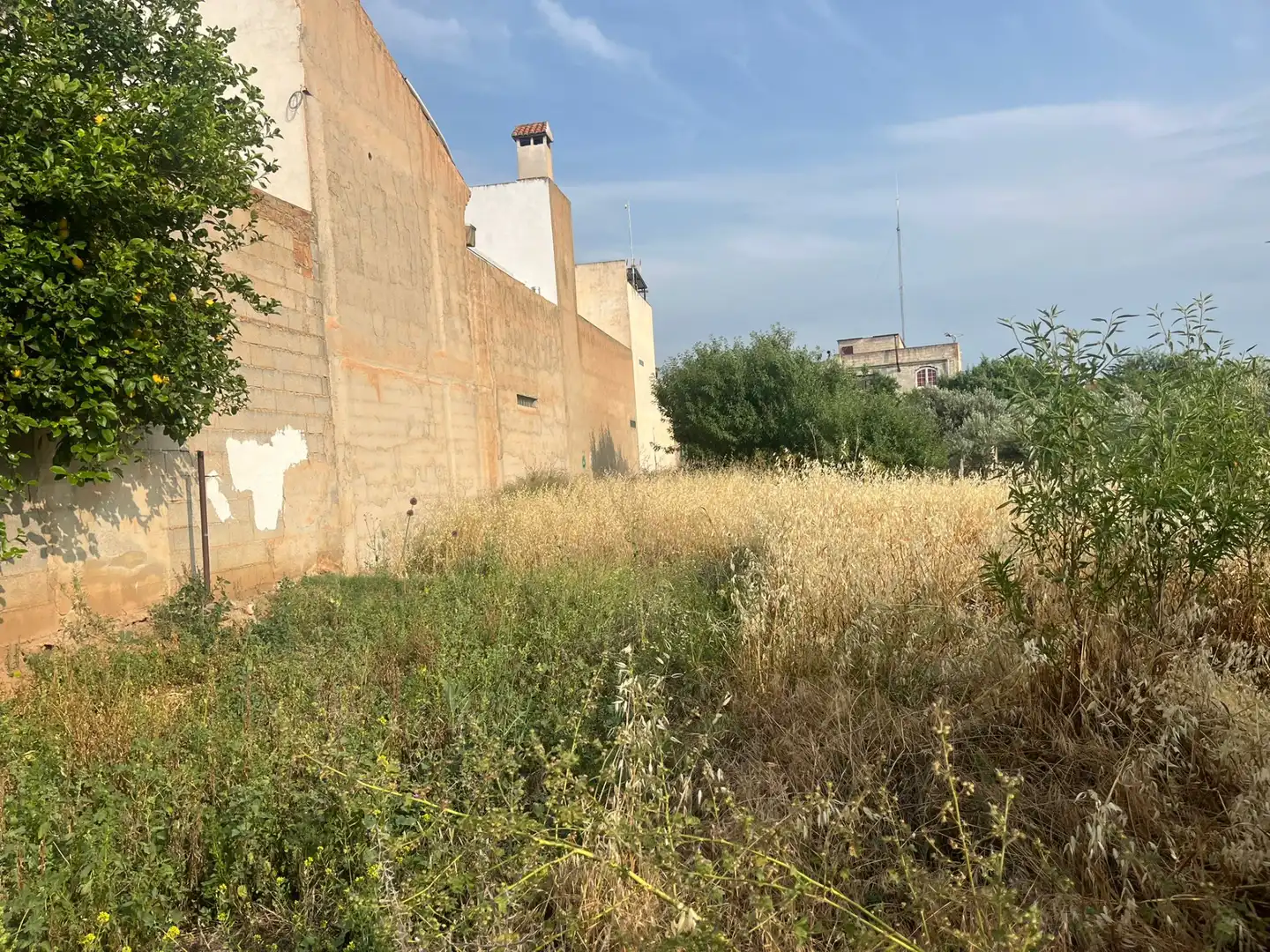 Rural land for sale in Calle Verano, imagen 11