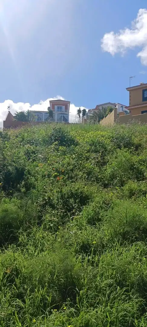 Terreny residencial en venda a El Sauzal, imagen 18