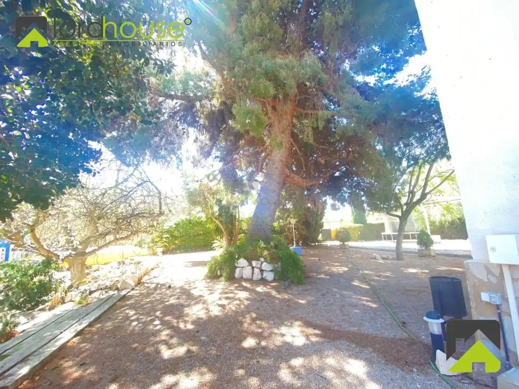 Garden of Houses for sale in Lorca