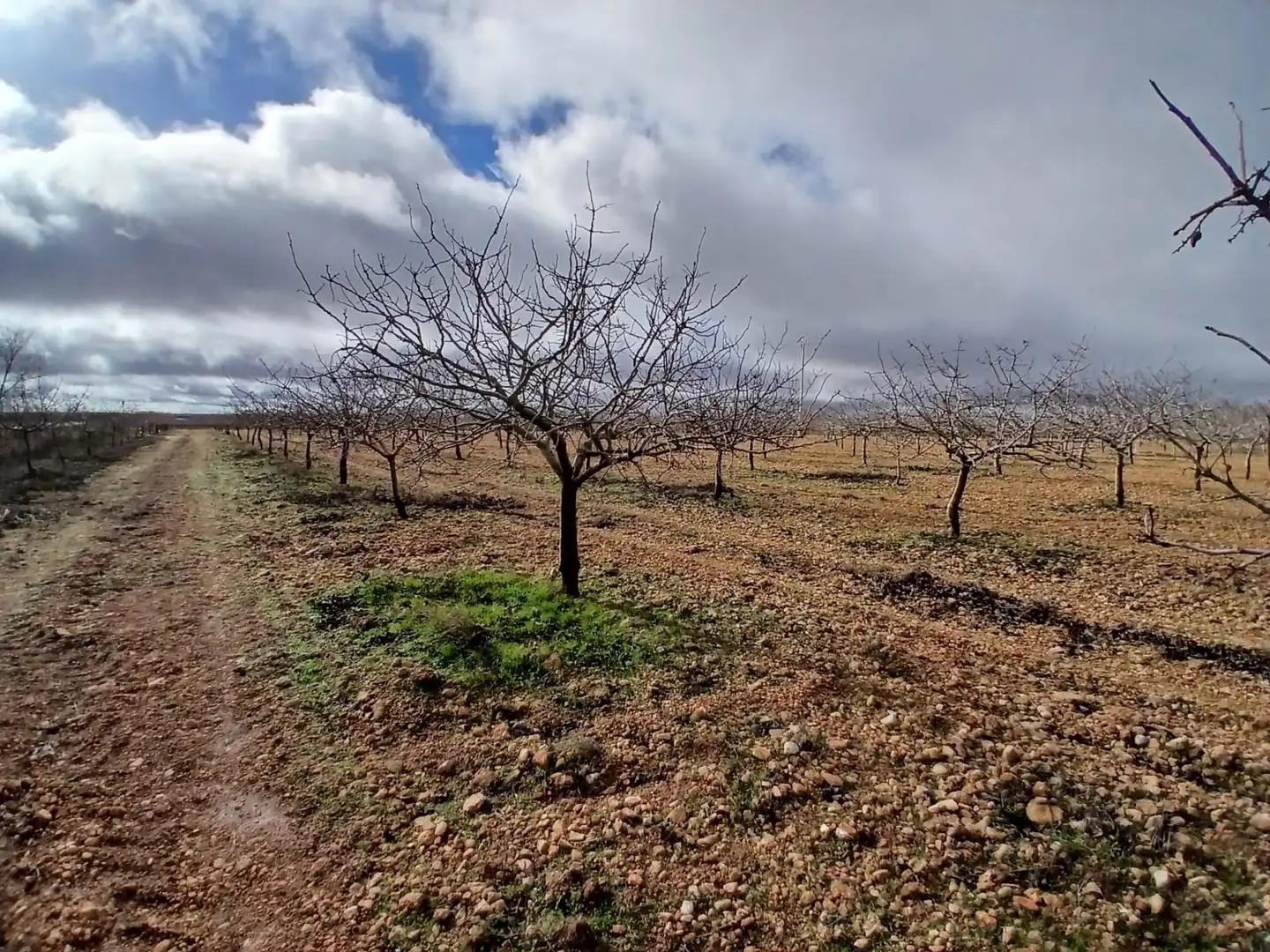 Rural land for sale in Carretera Solana, imagen 25