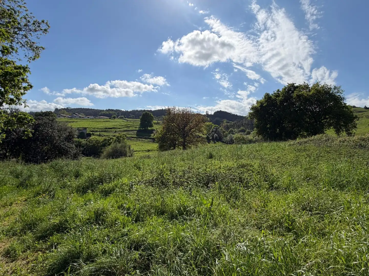 Wohnbaugrundstück zum Verkauf in Villanueva - Villanueva de Villaescusa, imagen 4