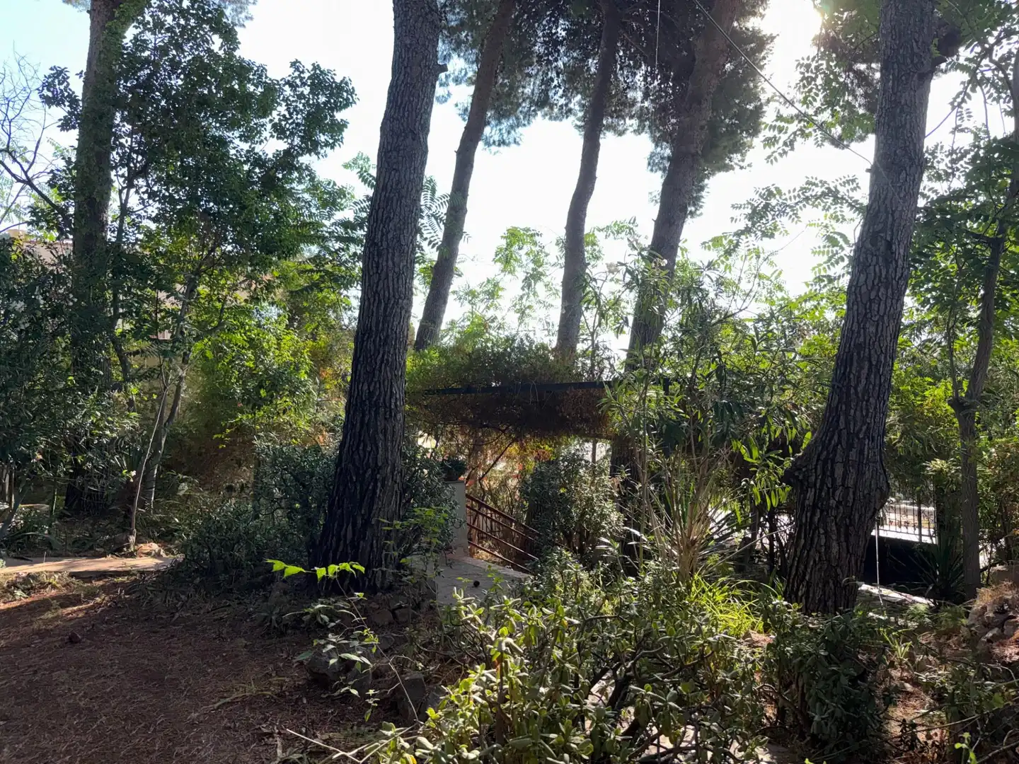 Villa avec jardin à vendre à Calle ALTO DE LA VILLA, imagen 38