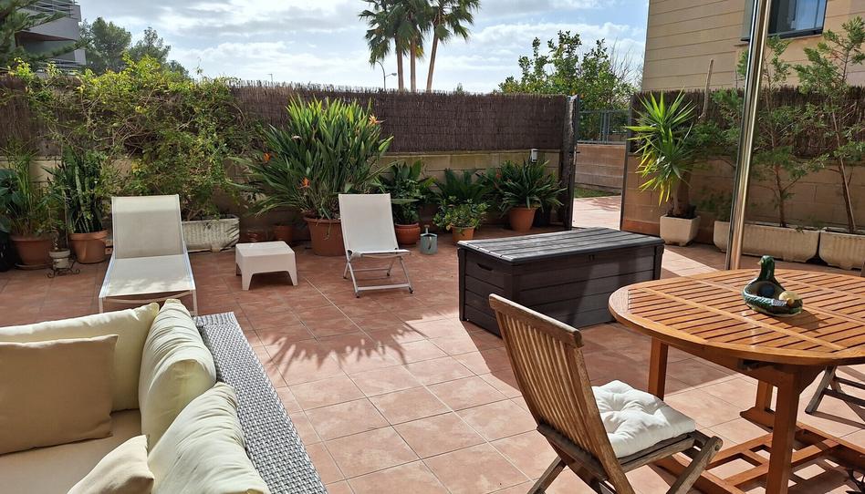 Photo 1 of Planta baja for sale in Los Almendros - Son Rapinya, Illes Balears