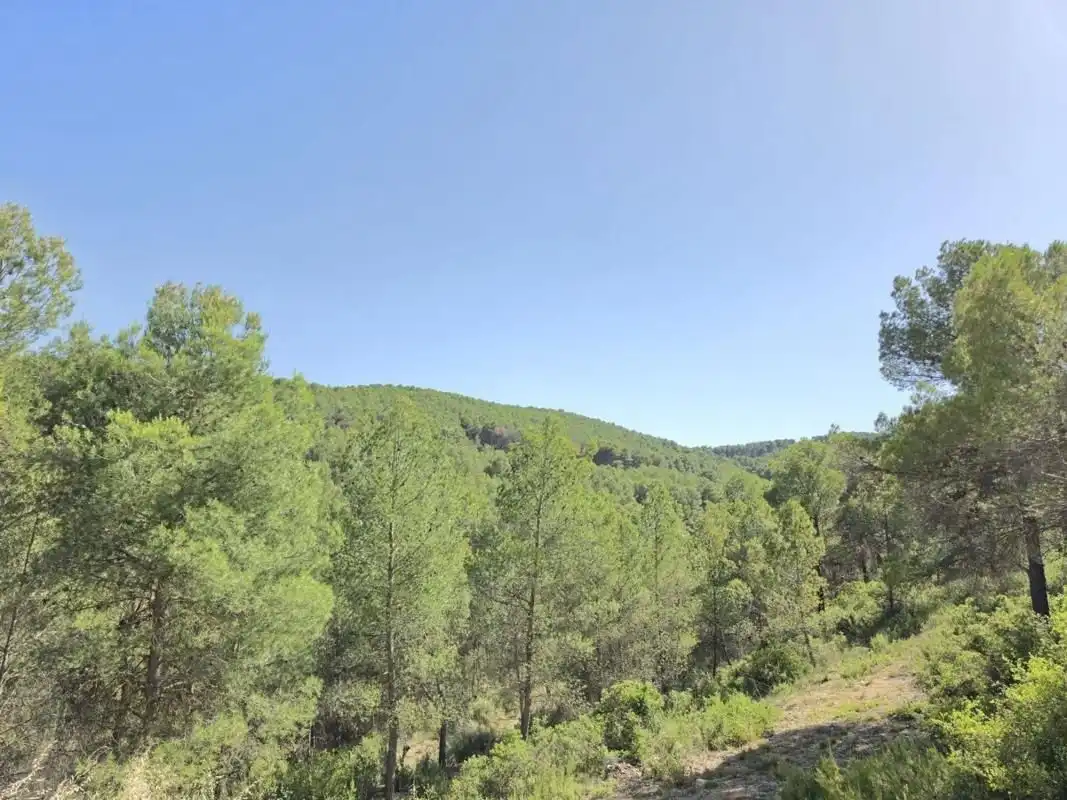 Houses for sale in Las Virtudes