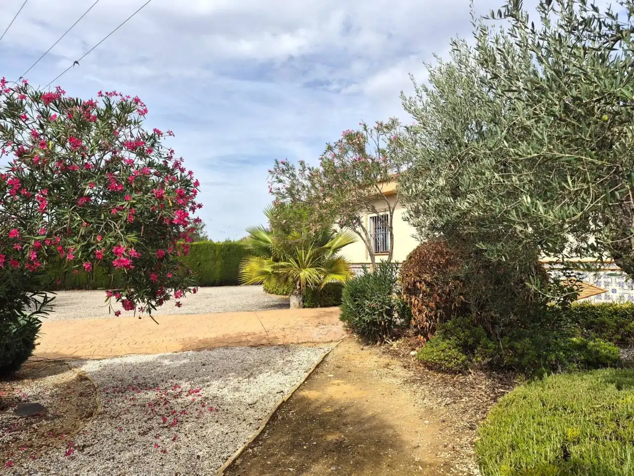 Garden of Country homes for sale in Pilas, Sevilla