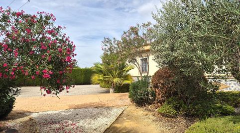 Chalet rustico en venta en Pilas, imagen 5