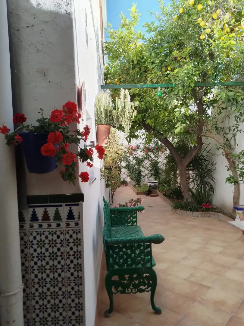 Maison avec terrasse à vendre à Calle Miguel Hernandez, imagen 34
