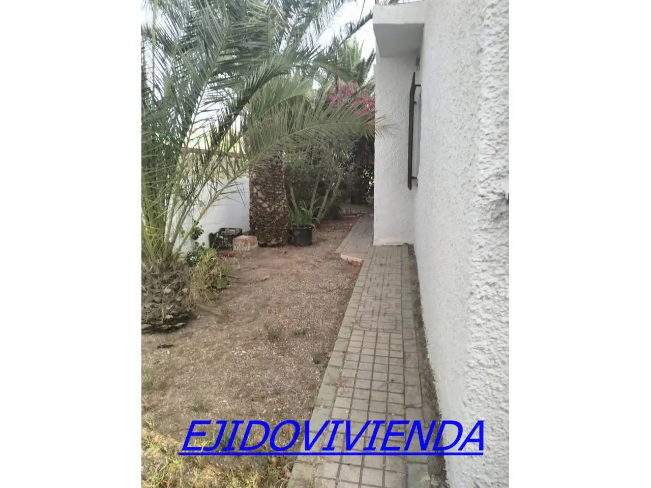 Jardín de Casa o chalet en venta en El Ejido con Jardín privado y Terraza
