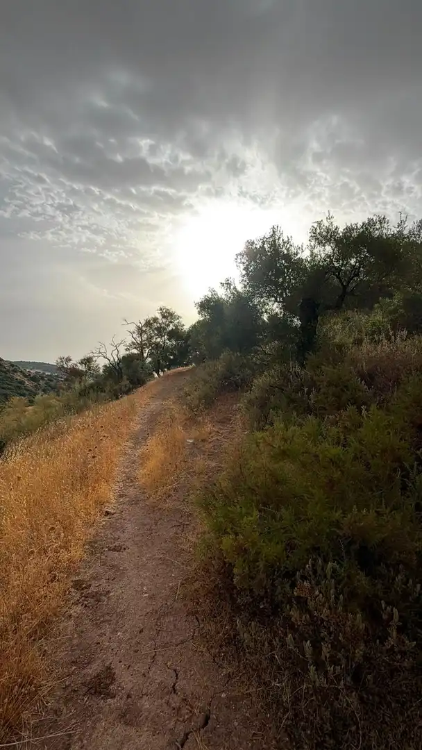 Rural land for sale in Morón de la Frontera, imagen 26