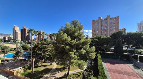 Foto 2 de Piso en venta en Playa Poniente, Benidorm
