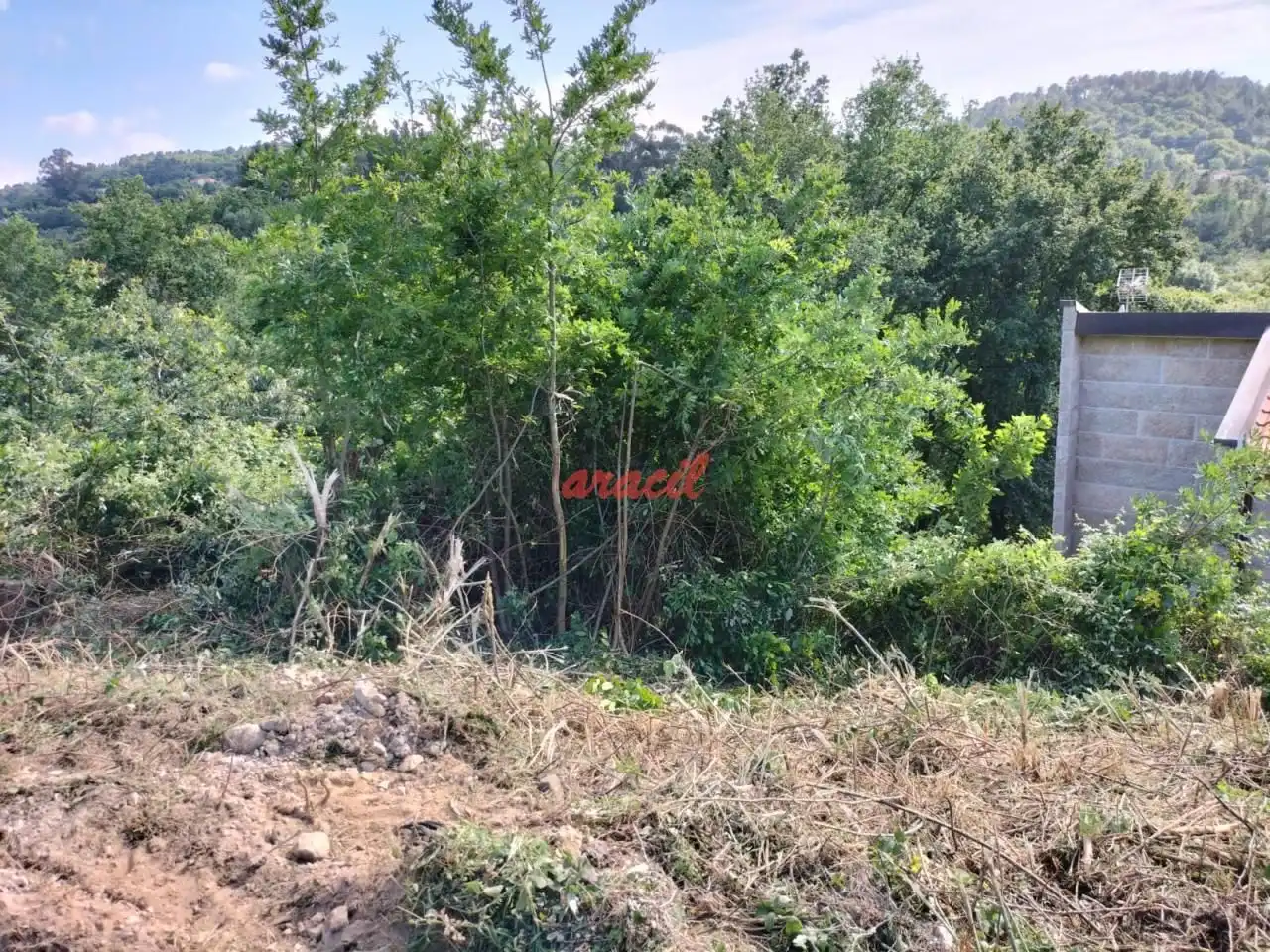 Terreni e lotti in vendita a O Pereiro de Aguiar, imagen 7