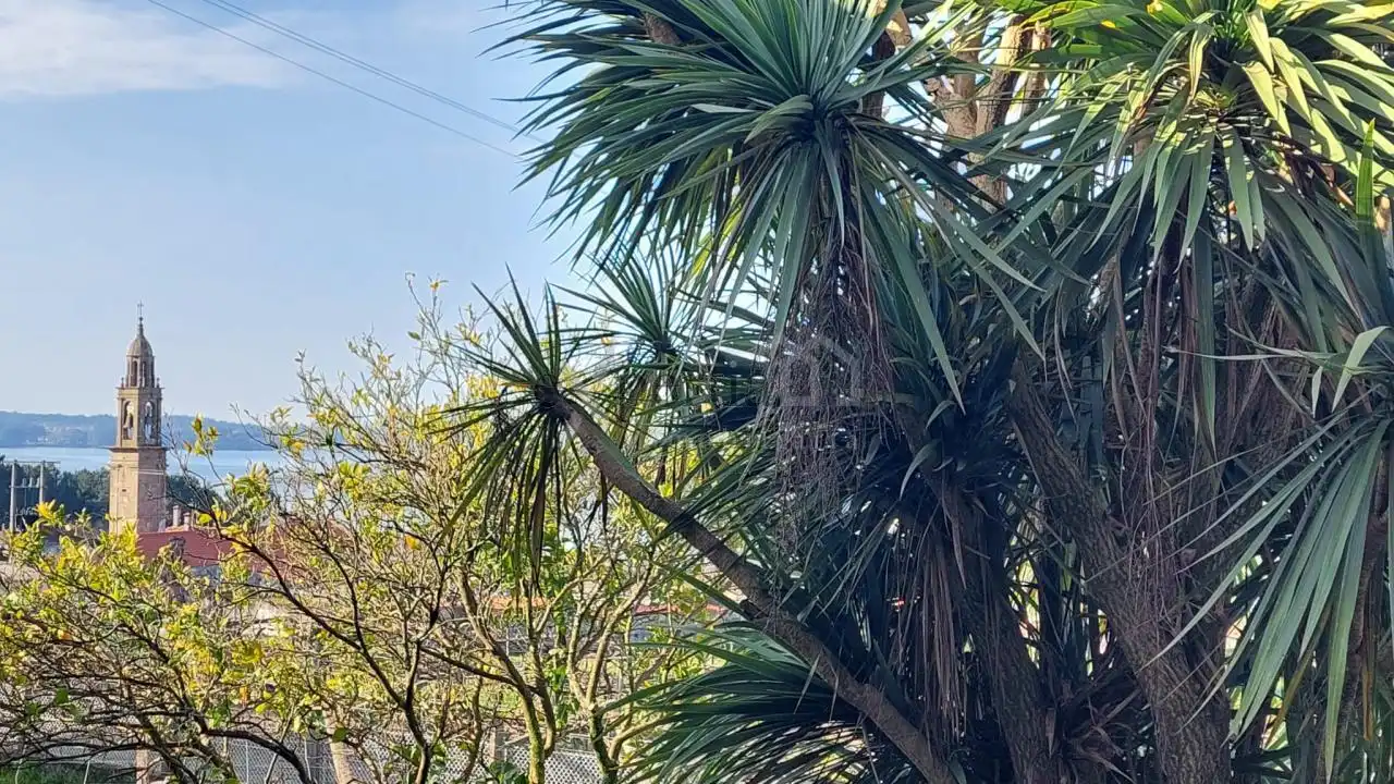 Vista exterior de Casa o xalet en venda en Rianxo amb Calefacció, Jardí privat i Traster