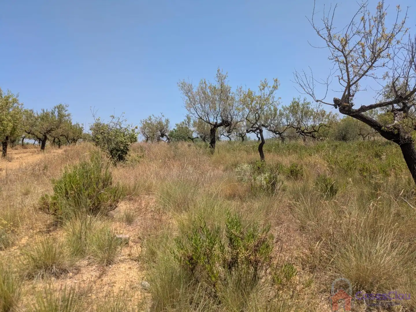 Finca rústica en venta en Vilanova d'Alcolea