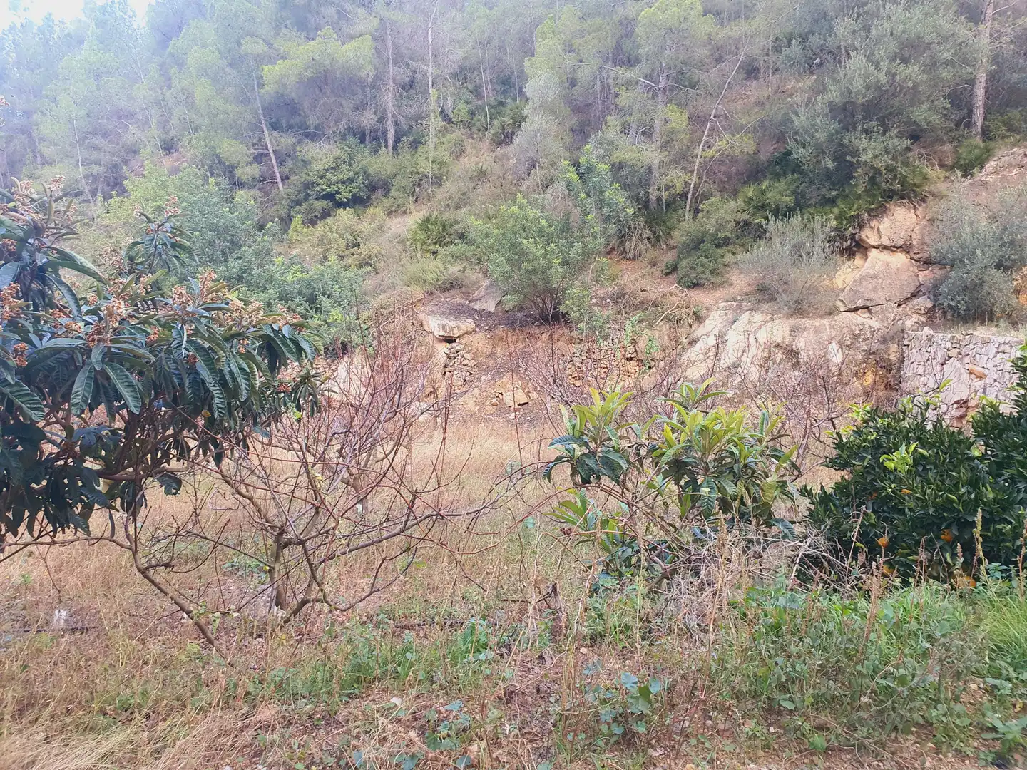 Terreno rústico en venta en Benifallet, imagen 20