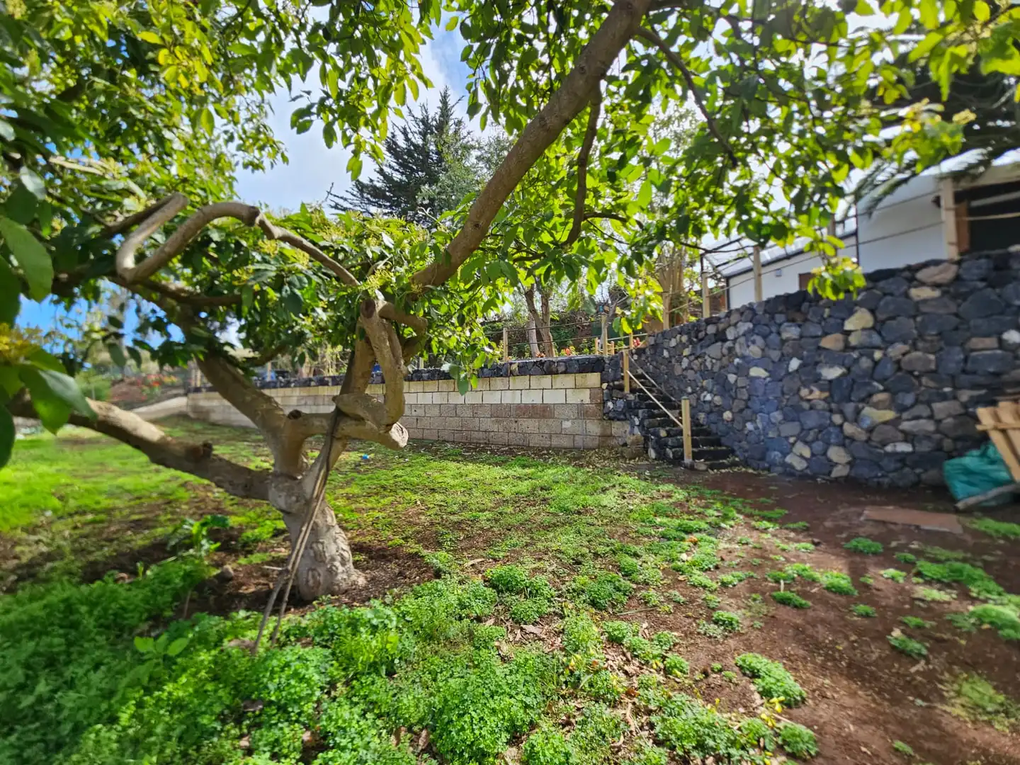 Garden of Country homes for sale in Icod de los Vinos  with Private garden, Terrace and Furnished