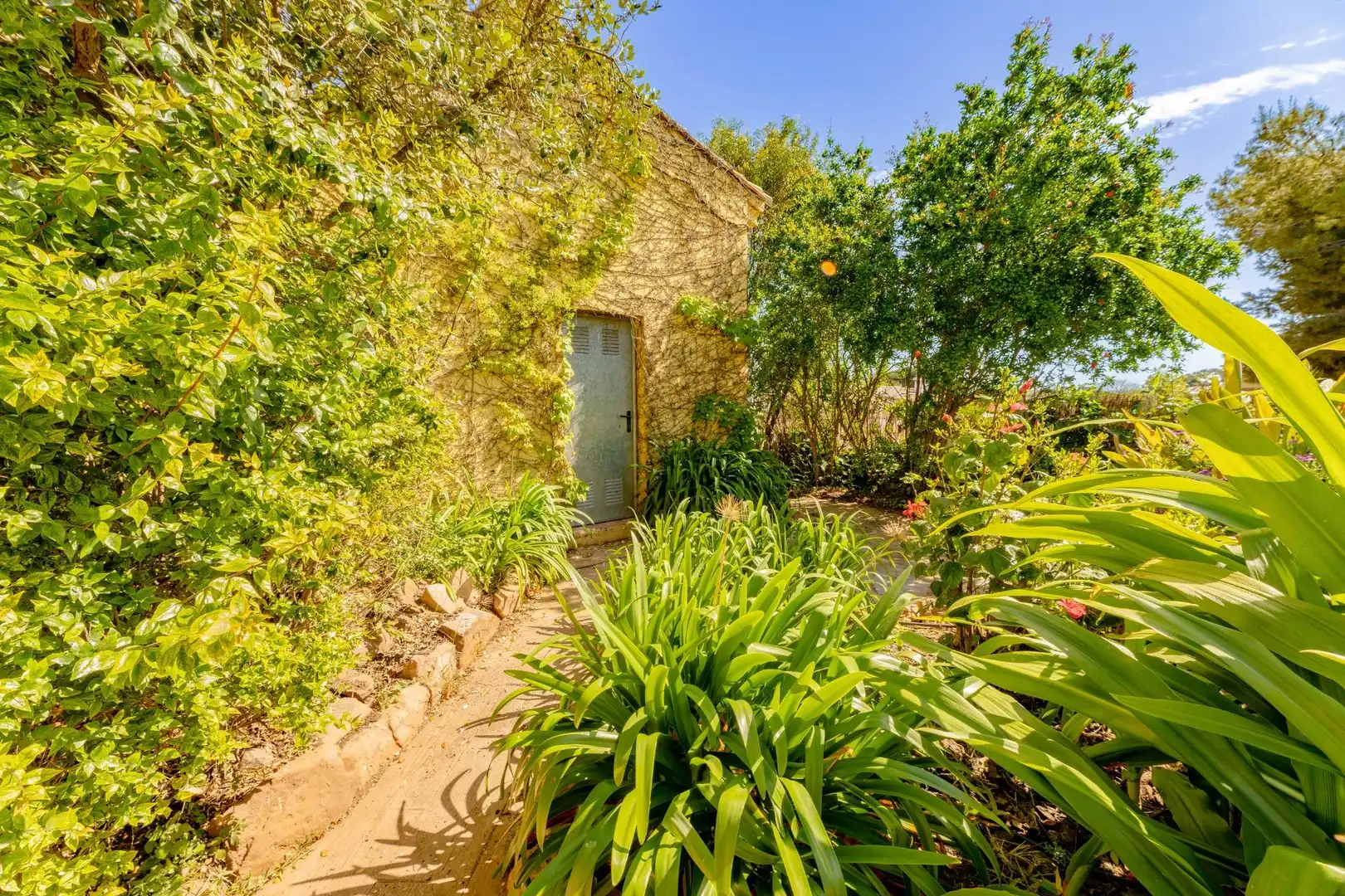 Villa mit Pool zum Verkauf in Los Pinares - La Masia, imagen 69