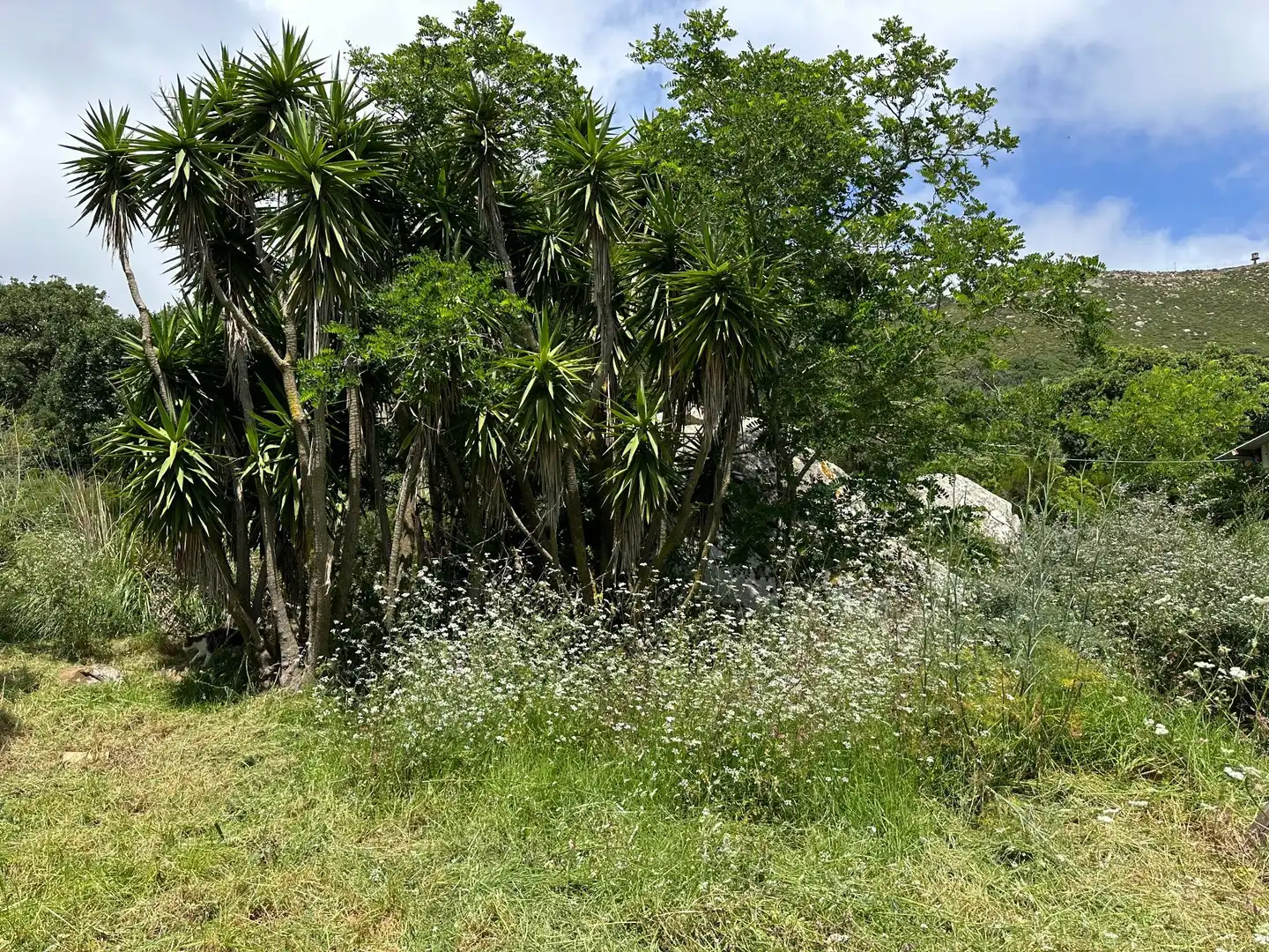 Terrenys i solars en venda a El Cuartón - El Bujeo, imagen 17