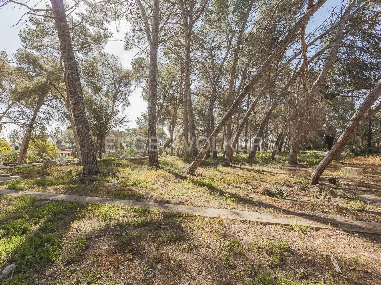 Maison à vendre à Passatge dels pins, imagen 25