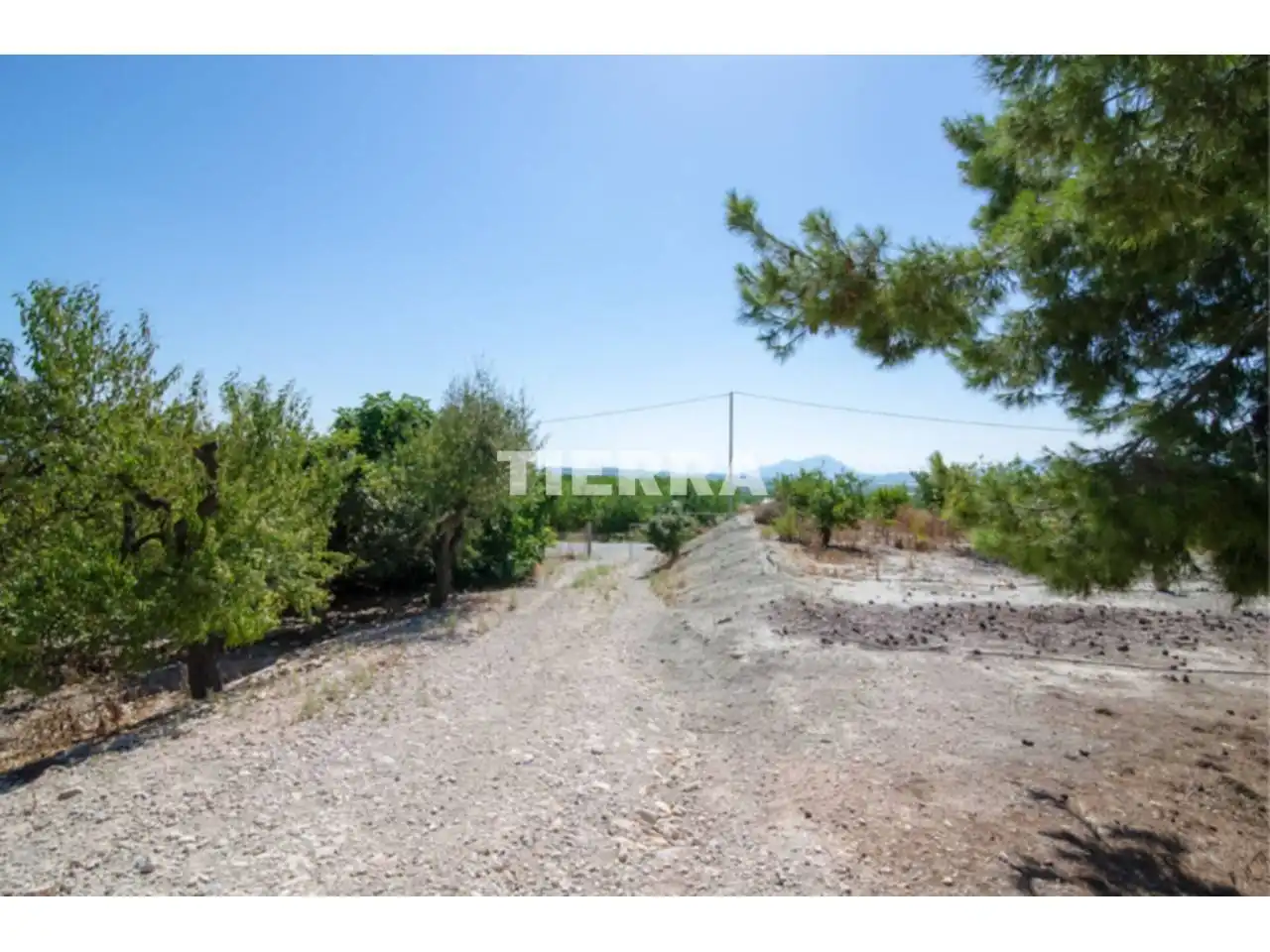 Lands and plots for sale in Poligono El Semolilla, imagen 9