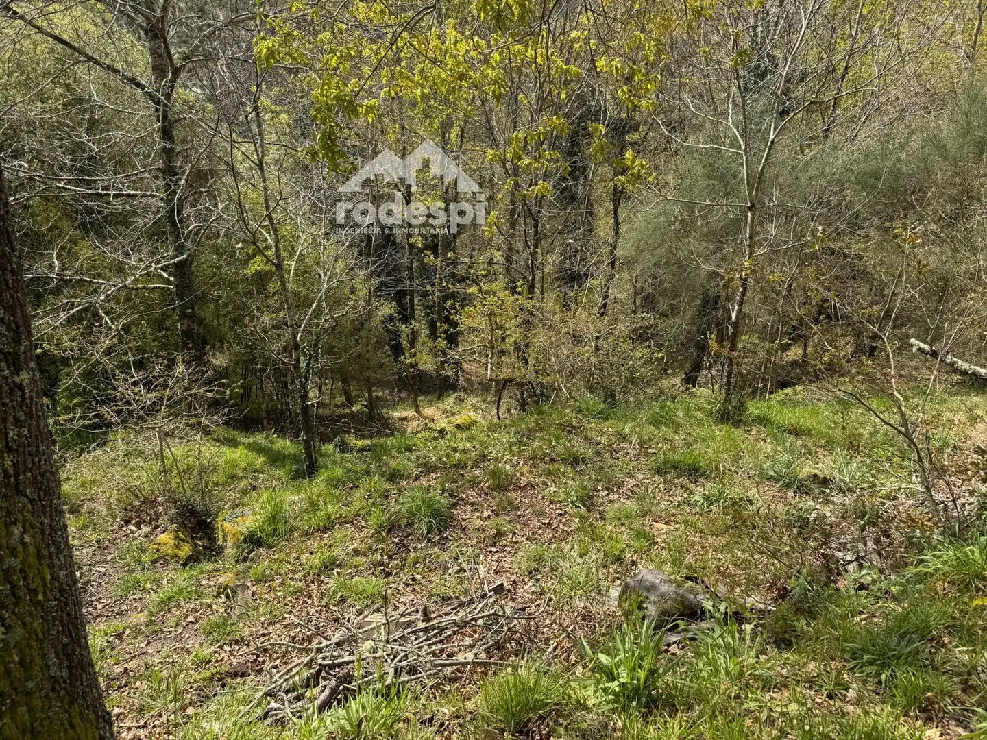 Rural land for sale in Arbo, imagen 4