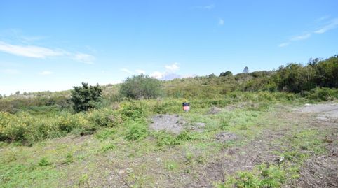 Foto 4 de Casa o chalet en venta en Pista la Cancela, El Tanque, Santa Cruz de Tenerife