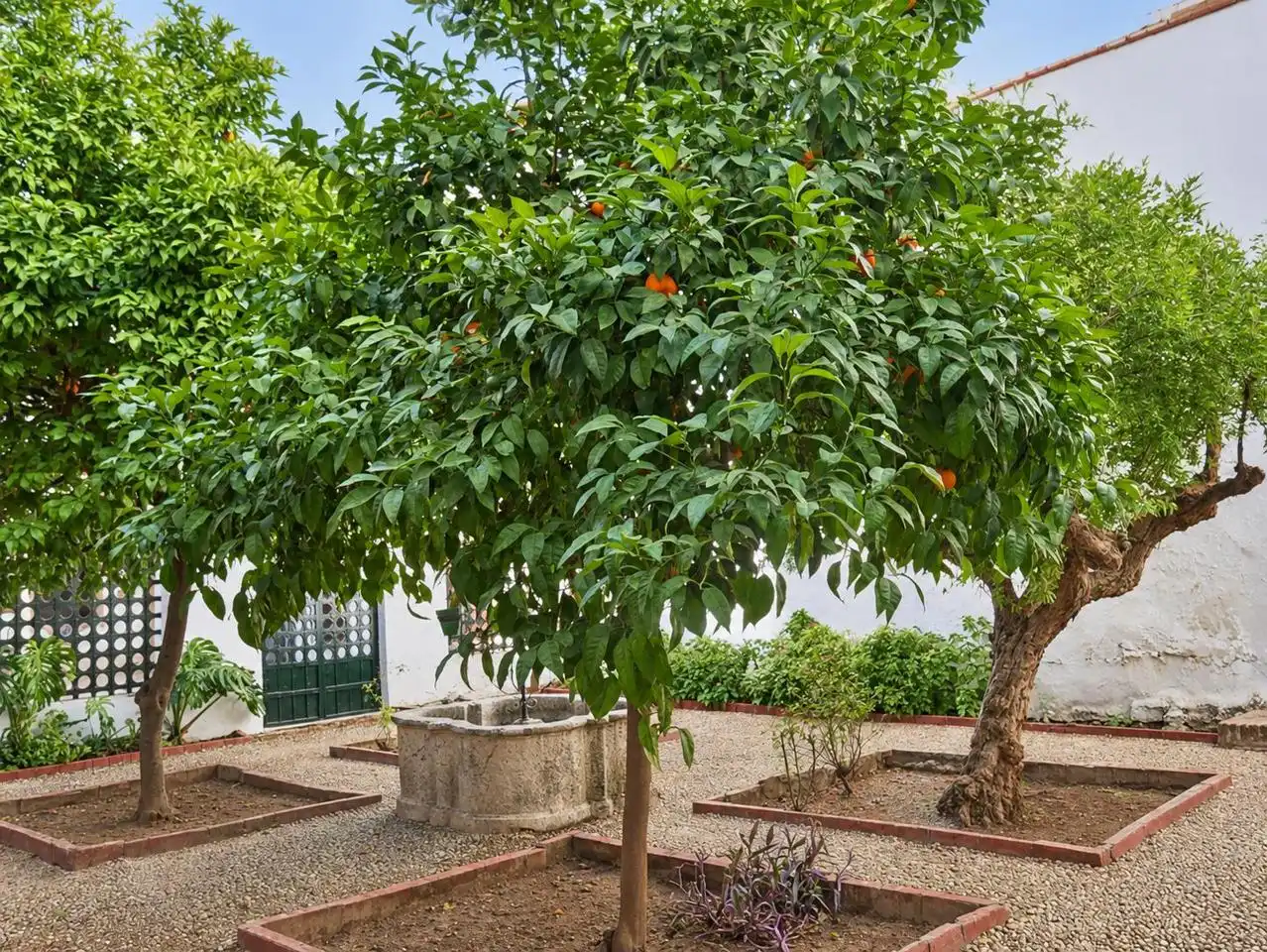Maison avec terrasse à vendre à Écija, imagen 16