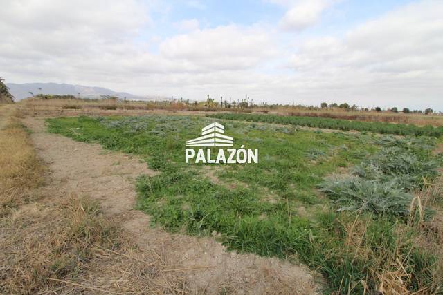 Terreno en Venta en Crevillent