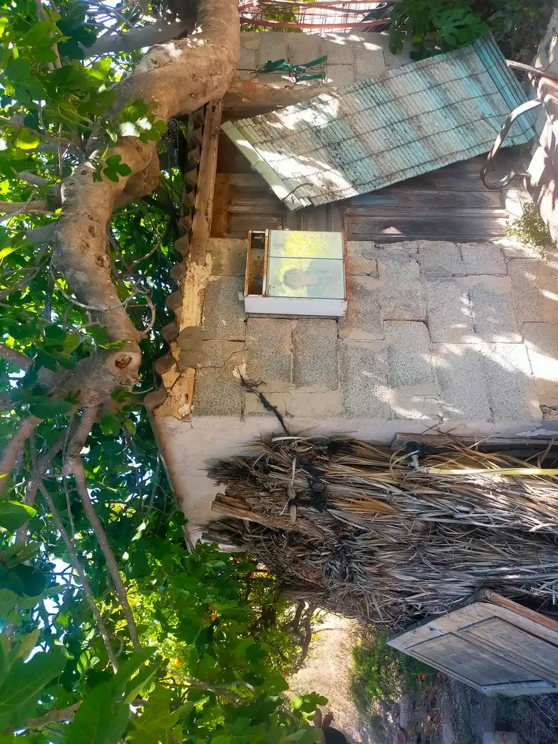 Terrain rustique à vendre à La Foia - Daimés - Asprella, imagen 7