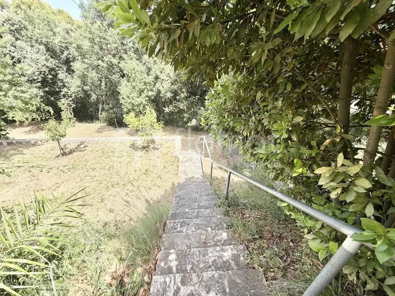 House for sale in Avinguda dels Arbres, imagen 51