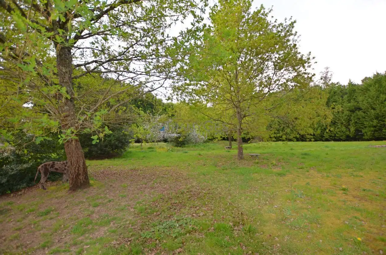 Xalet amb jardí en venda a LG SEQUEIROS-CRISTIÑADE, imagen 41