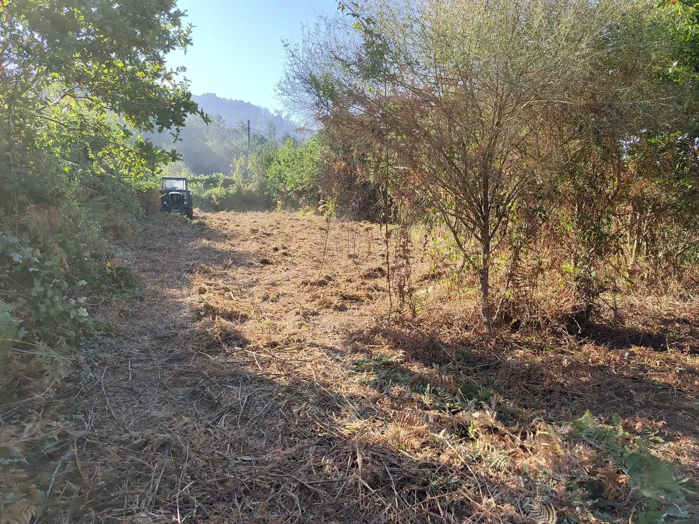Terreny residencial en venda a Lugar PAREDES 19 Polígono 139 Parcela 8, imagen 8