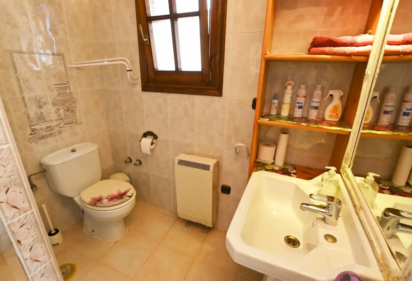 Country homes for sale in Canuta