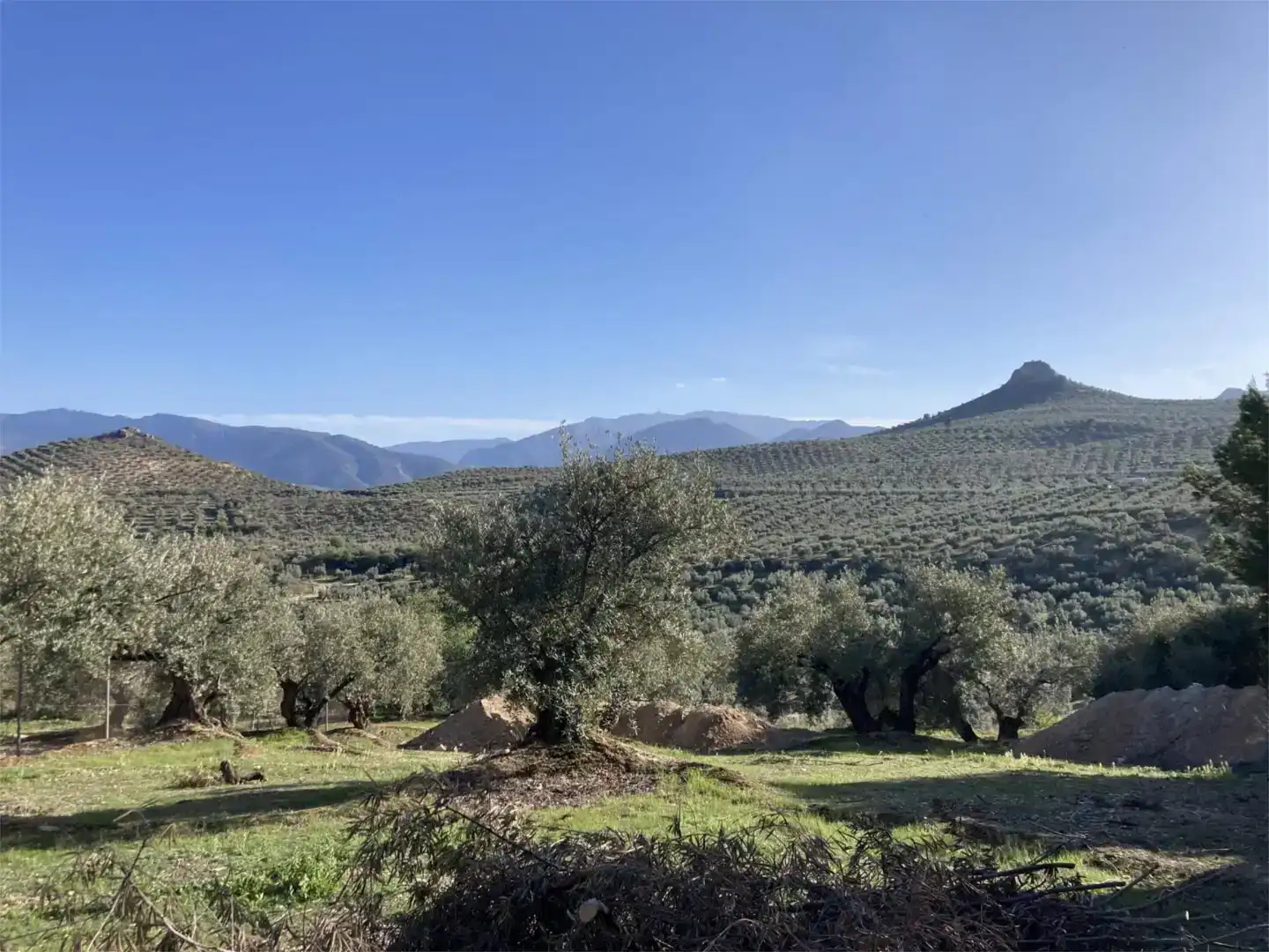 Residencial en venda a JA-3200, 13, La Salobreja