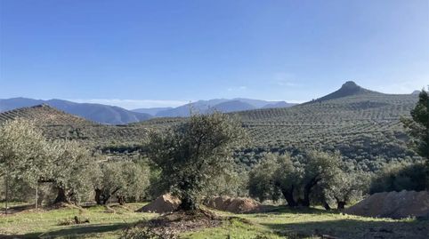 Foto 3 de Residencial en venta en Ja-3200, 13, La Salobreja, Jaén Capital