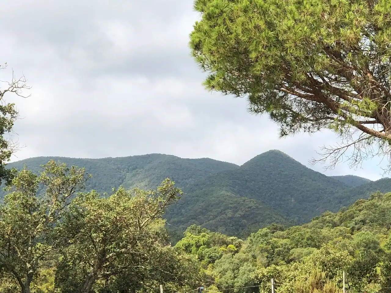 Residencial en venta en Carrer Muntanya, Niàgara Parc - Ágora Parc