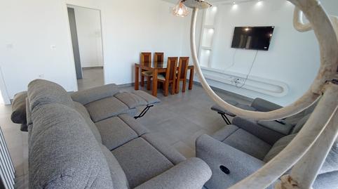 Foto 4 de Finca rústica de lloguer a Camino del Olivar, Avenida de Rota, Cádiz