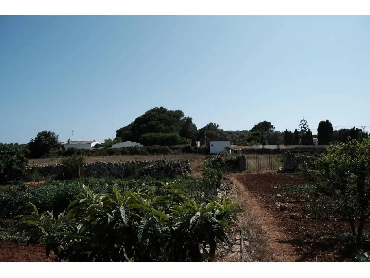 Finca rústica en venta en Ciutadella de Menorca con Jardín privado y Piscina