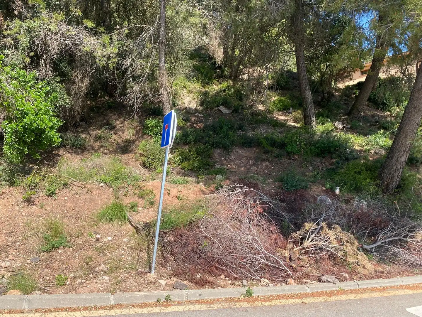 Terreny industrial en venda a Carrer del Castanyer