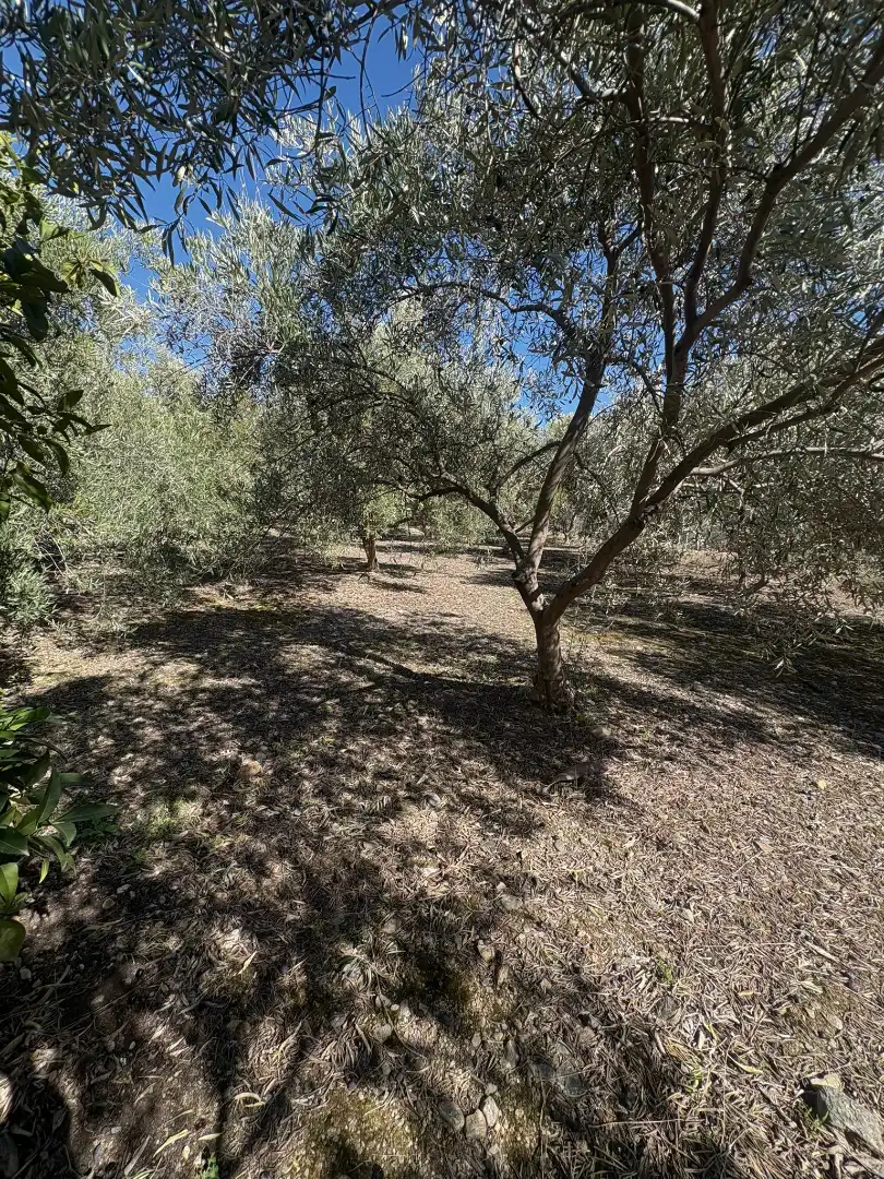 Finca rústica en venda en Canjáyar