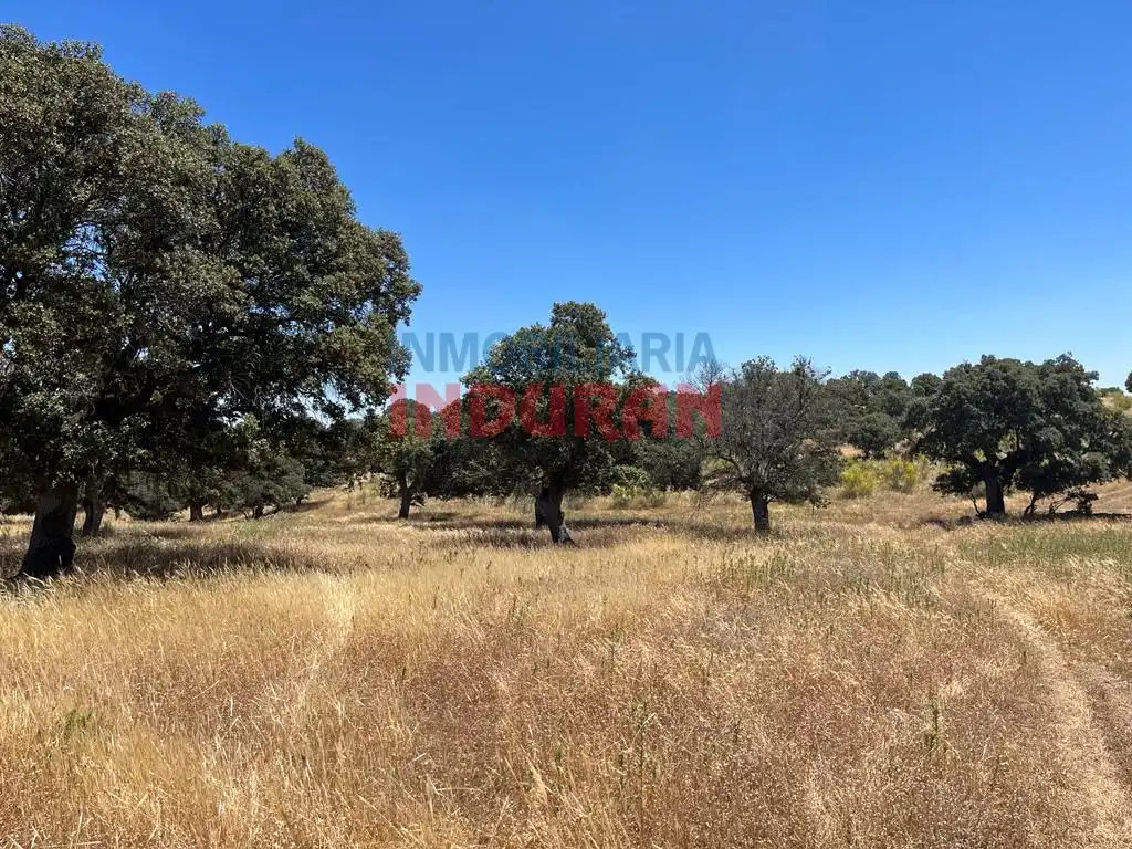 Finca rústica en venda en Alía
